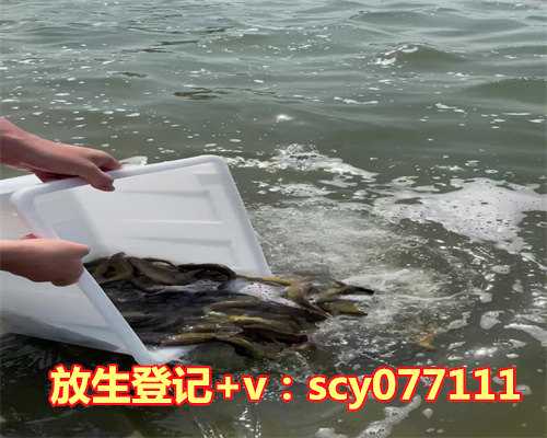 放生应该怎么说些什么怎么念，六字大明咒，该怎么念？