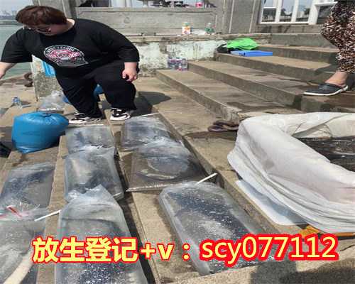 6月适合放生乌龟吗为什么，6月22日是什么星座