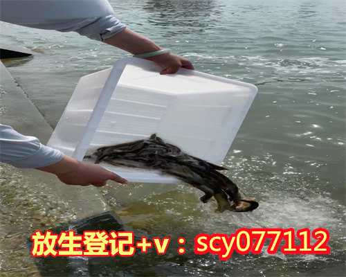 滁州放生鸡的福报,滁州哪里有放生组织,滁州哪里可以放生鱼类