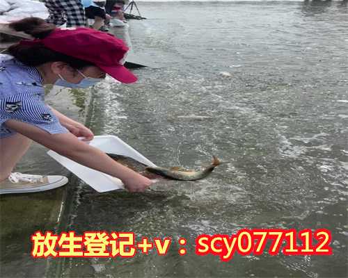 中华放生网2023，功德最上的放生方法-放生-华易算命网