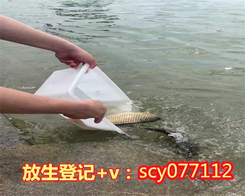 昆明放生园放生蛇，昆明放生组，昆明放生哪里好