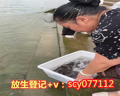 宁波何地可以放生小鱼