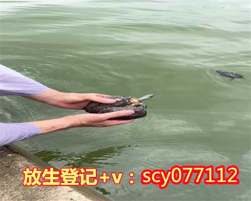 昆明哪里可以放生蜈蚣