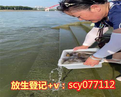 济南放生园放生蛇，济南放生鱼苗在哪里，济南螺蛳去哪里放生