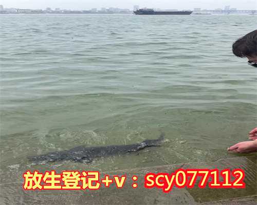 济南如何做放生，济南哪有放生的地方，济南何地可以放生草龟