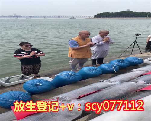 香港2023年12月2号能放生甲鱼吗