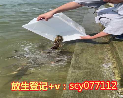 昆明放生动物在哪里