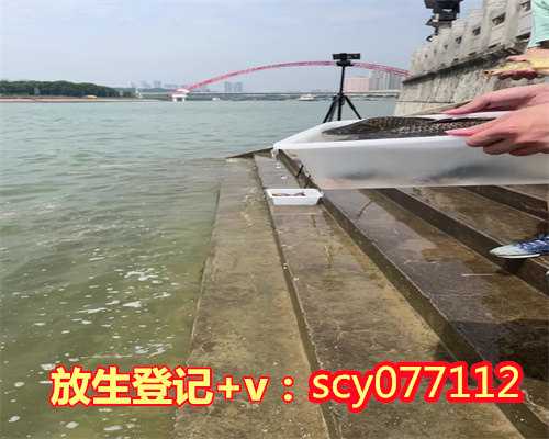 大连哪里适合放生乌龟，救护放生、人工繁育、科普宣传大连用心呵护斑海豹