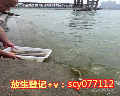 三亚公园放生松鼠，世界各地高僧云集三亚祈愿世界和平(组图)