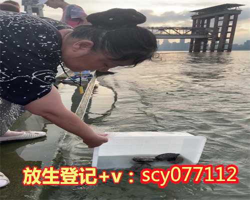 东莞莲花山放生池（东莞堕胎放生求子得子）