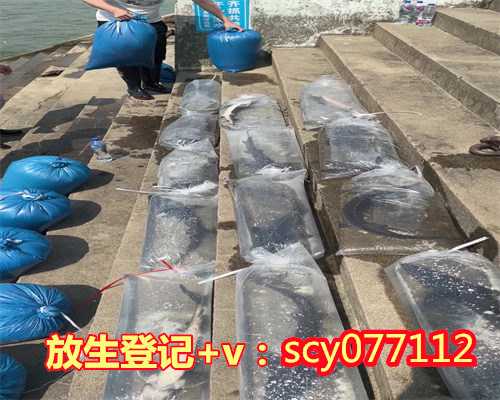 东莞放生田螺对生态环境的影响,东莞哪里放生鱼最安全,东莞算命先生叫我买锦