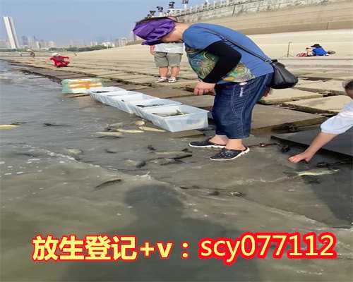 放生乌龟咒桂林,桂林哪里可以放生公鸡【放生时的法布施】