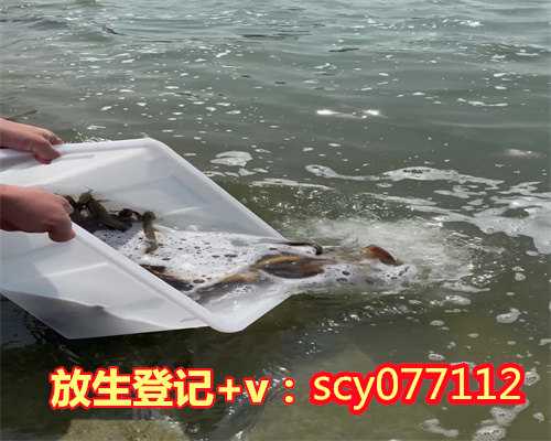 广东最简单有效的放生仪轨及回向,广东鱼籽冷冻后还能放生吗,广东农历十月初