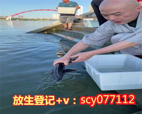 大甲鱼放生的功德与作用，放生的作用