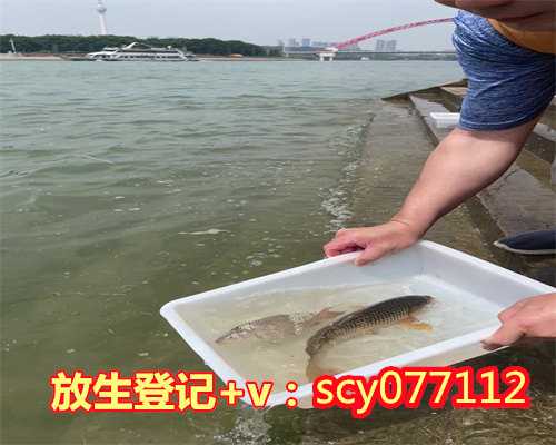 广州鱼籽冻了还能放生吗（广州放生鱼地点公布）