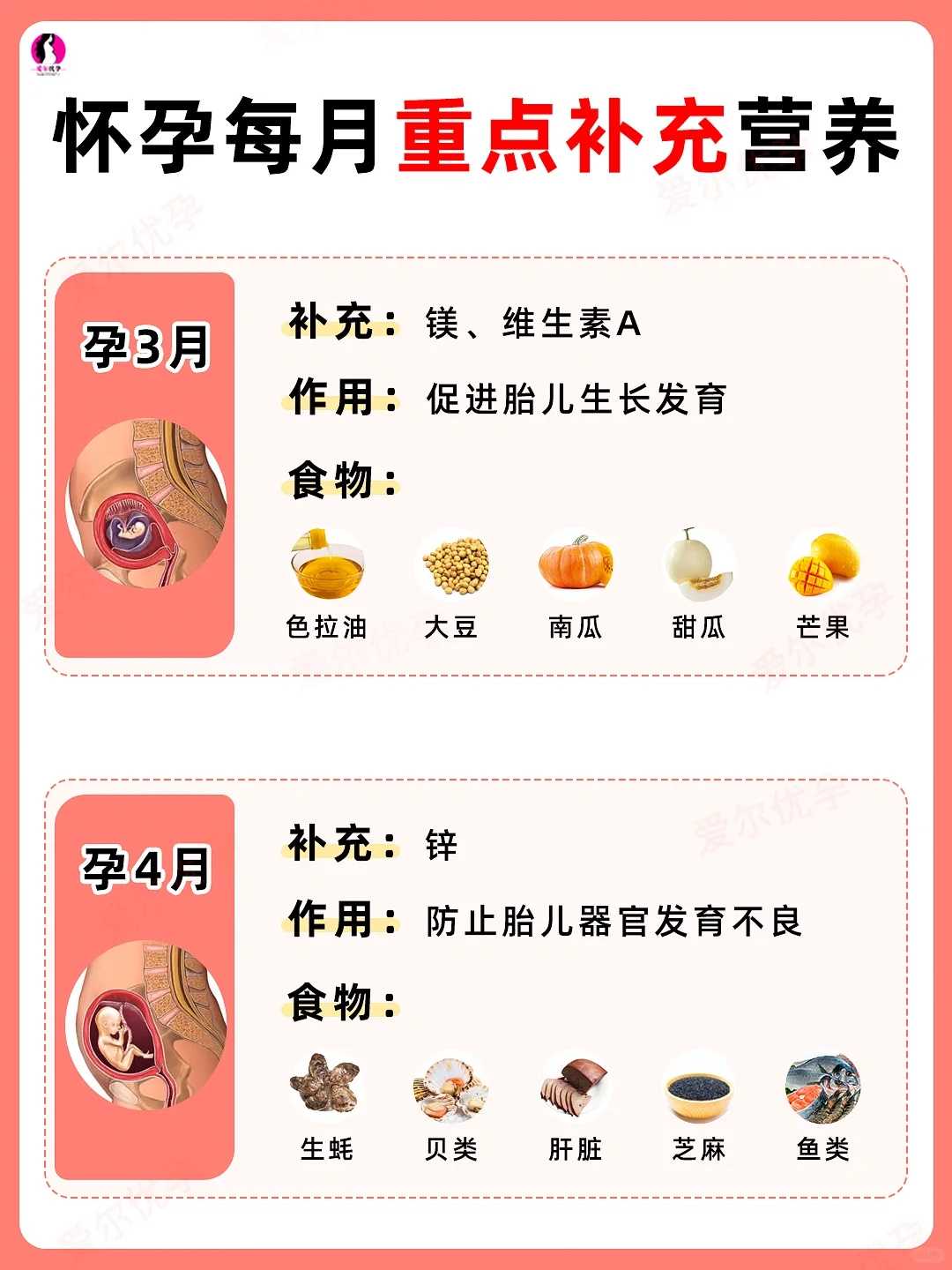 海口兴宁可放生水域，海口几月几号放生最好，乌龟放生寺院