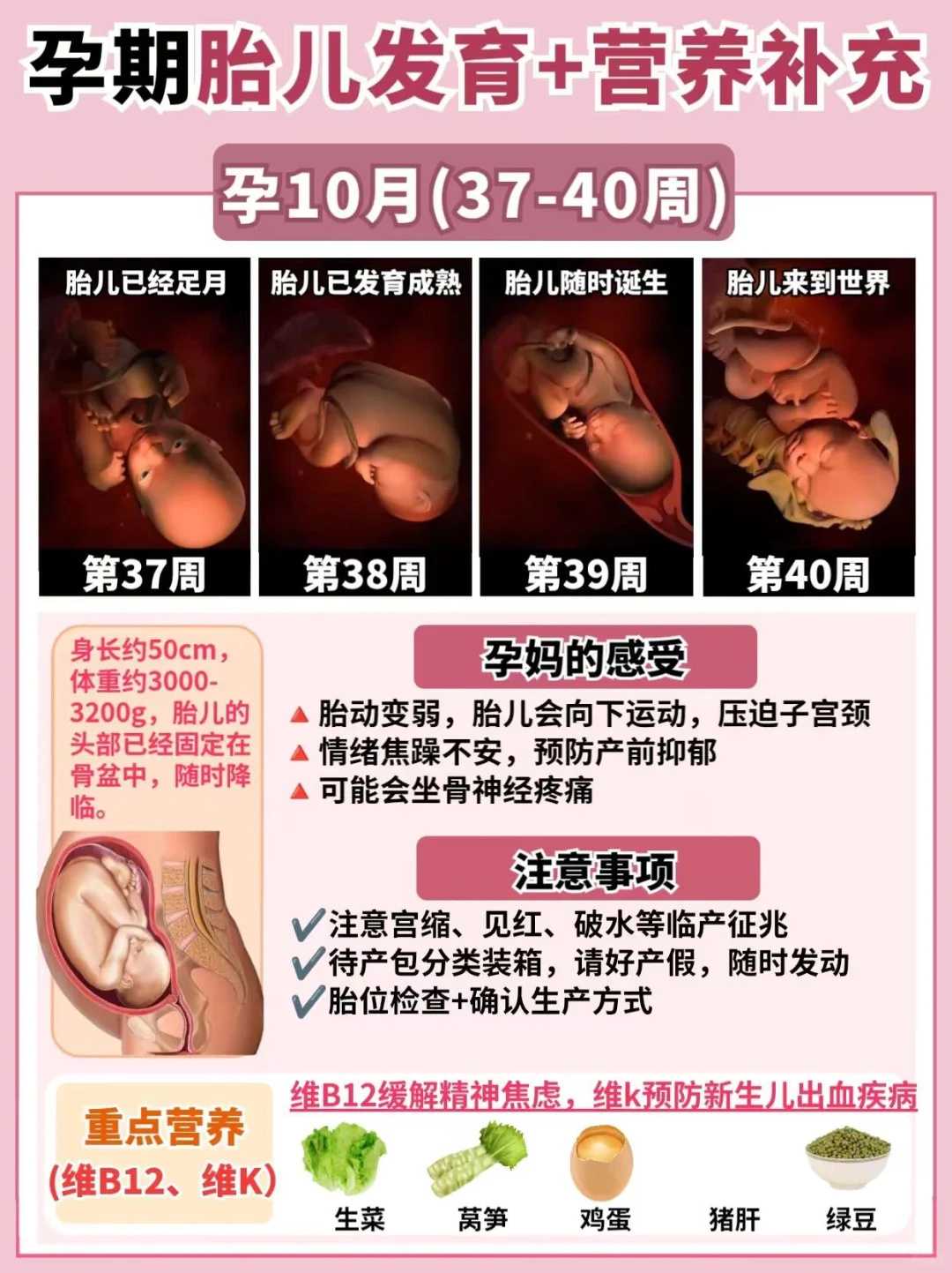 莆田何为真正的放生,莆田运河适合放生哪些,大海放生适合什么鱼