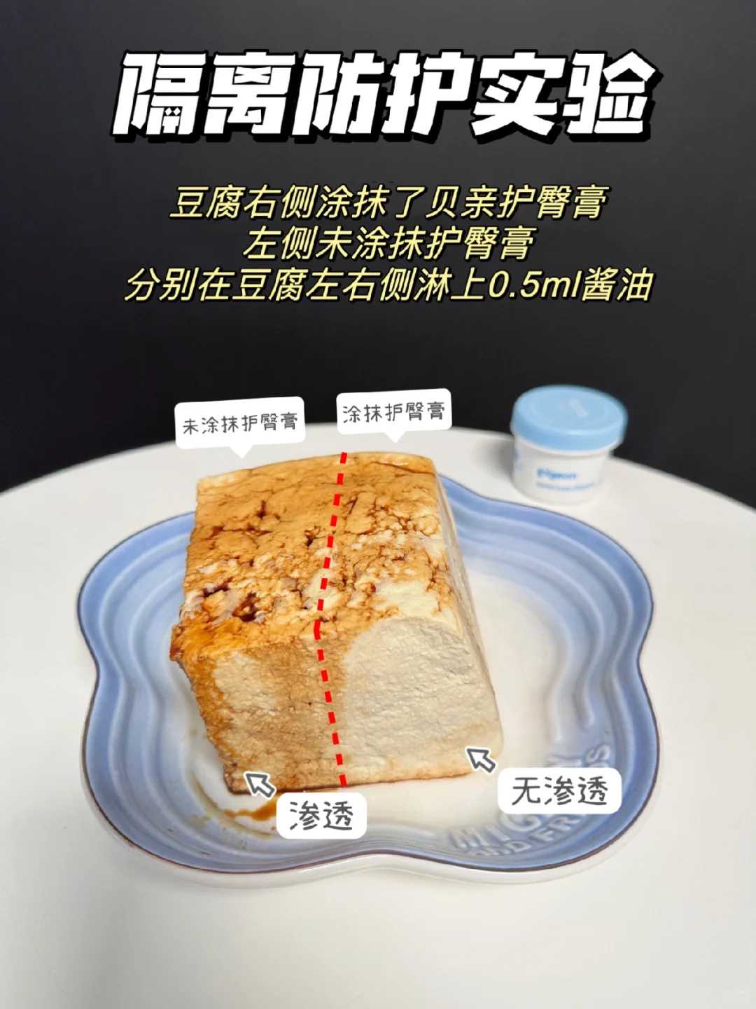 佛教代放生回向文