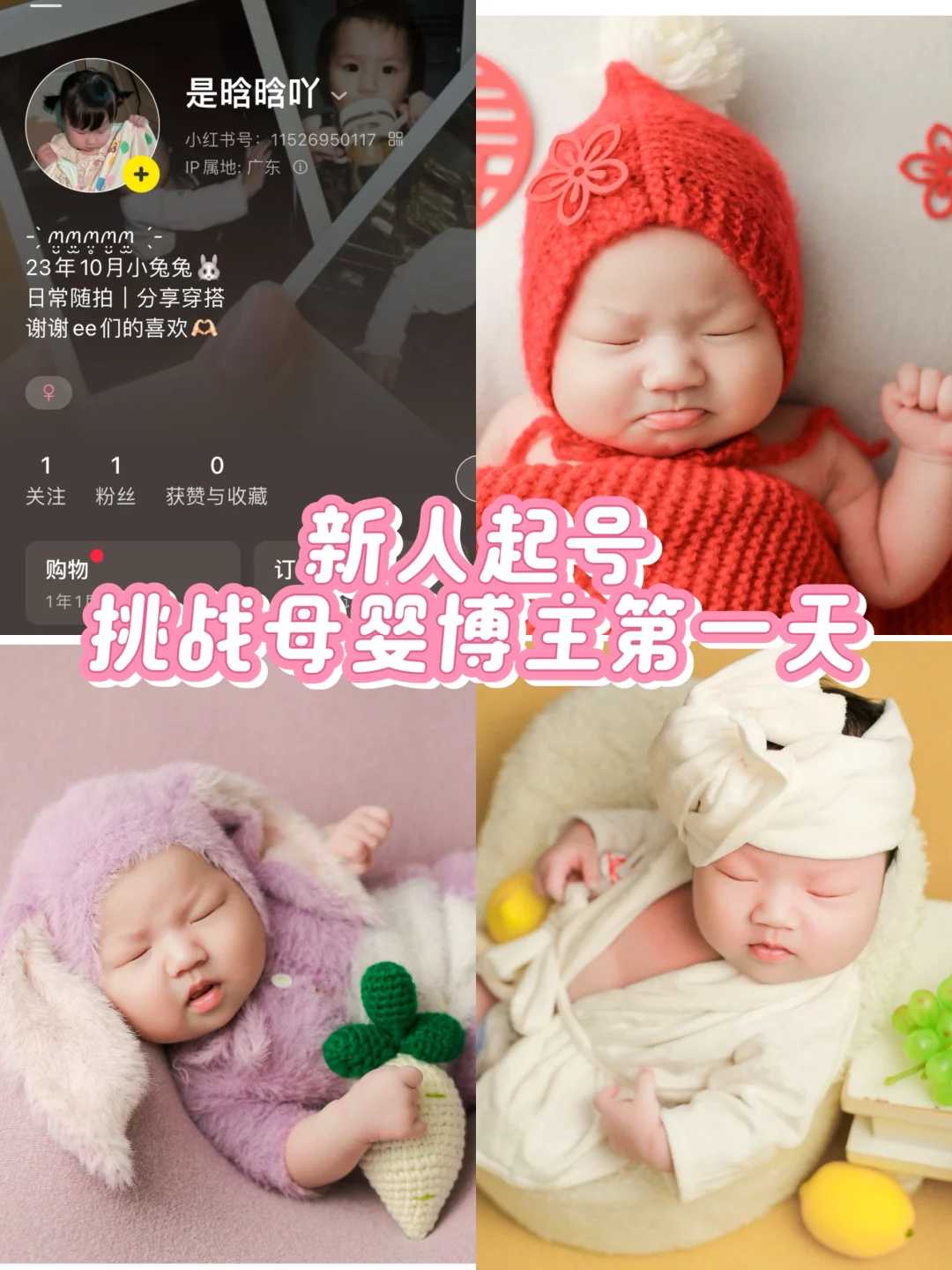 上海求子放生,上海放生群微信群,放生的历史由来简介