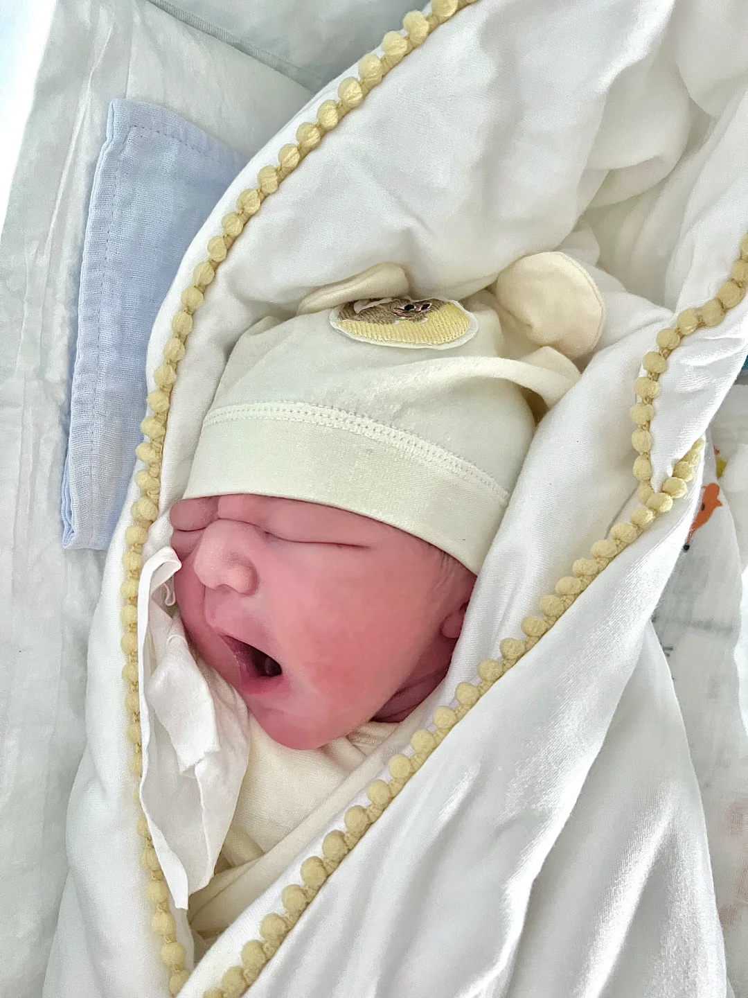 佛山放生行为,【放生鱼去哪里放】佛山长江哪里可以放生