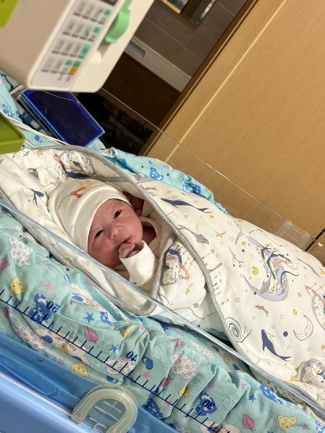 江西适合代放生的地方，江西庐山东林寺闭关念佛圆满出关