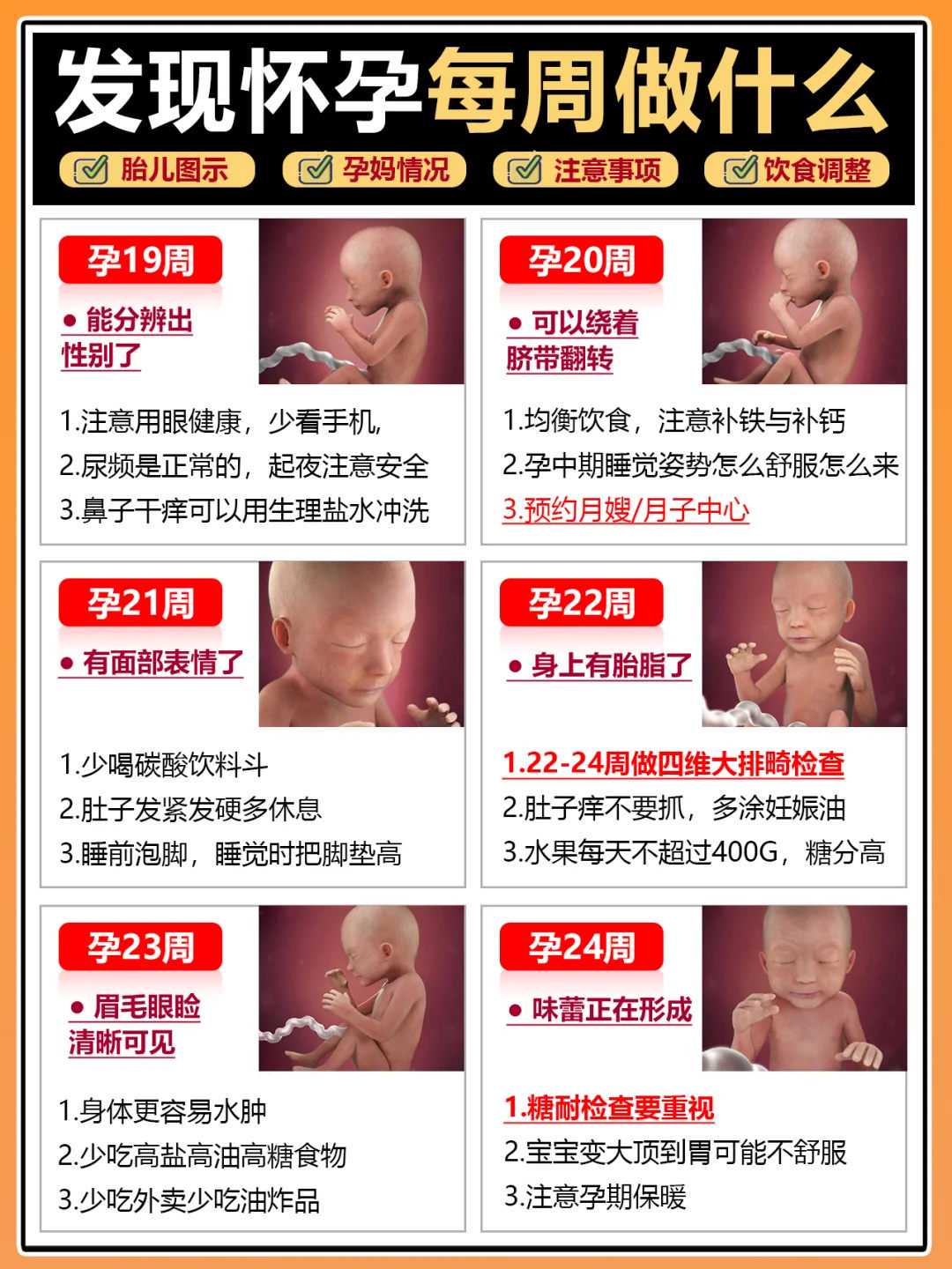 浙江放生草龟，浙江放生田螺的注意事项，放生甲鱼好不好