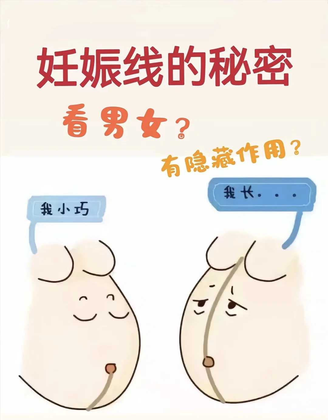 贵州放生田螺,贵州哪里放生乌龟比较好,乌龟多大可以放生