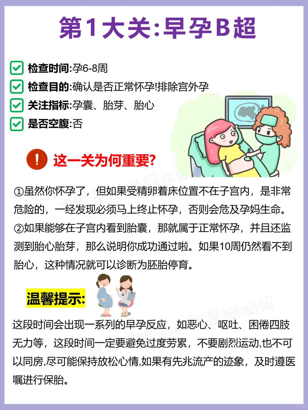 哪些龟不能代放生，乌龟放生记