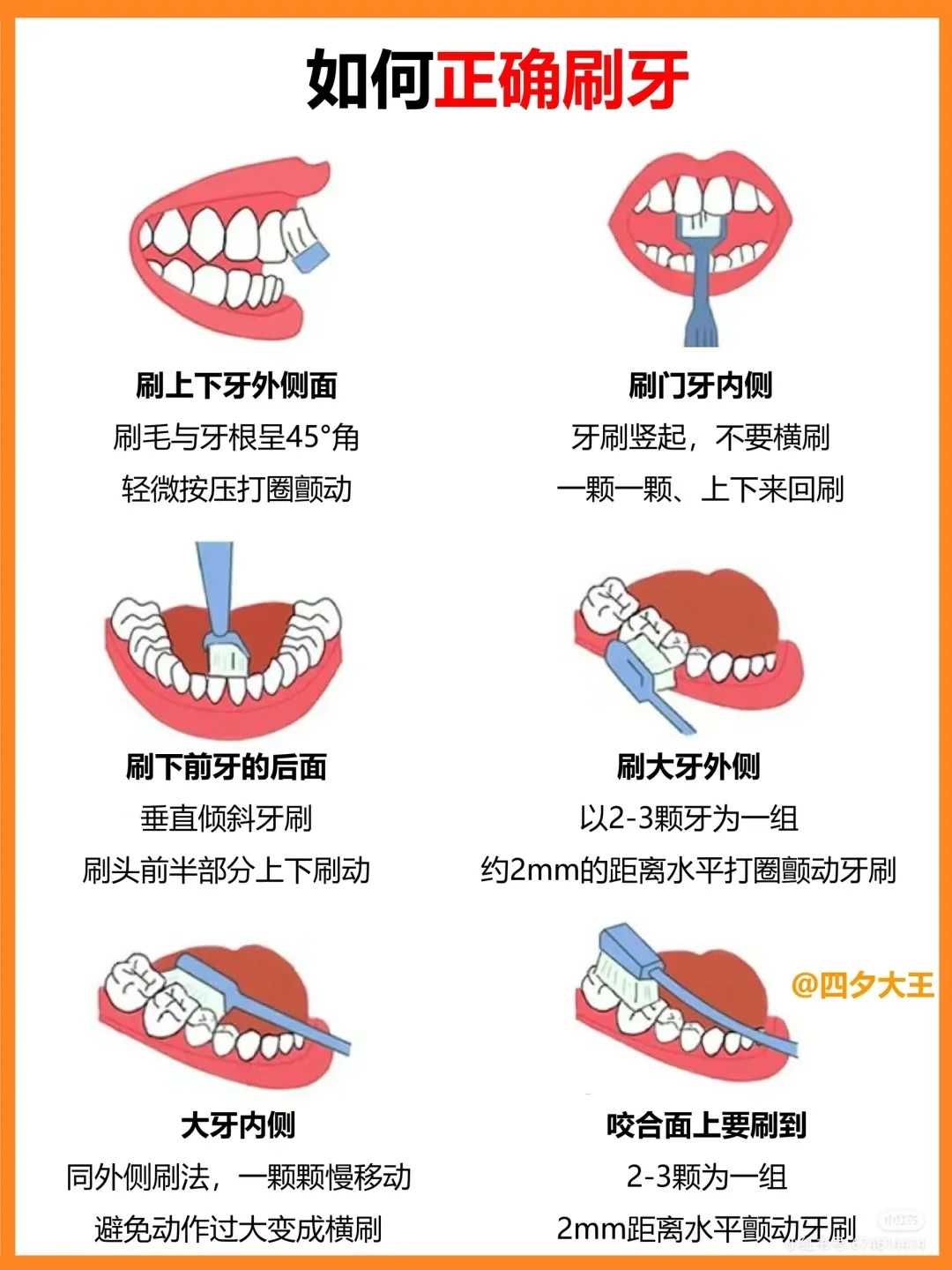 把刺猬代放生它为什么不跑，什么时候不宜跑步