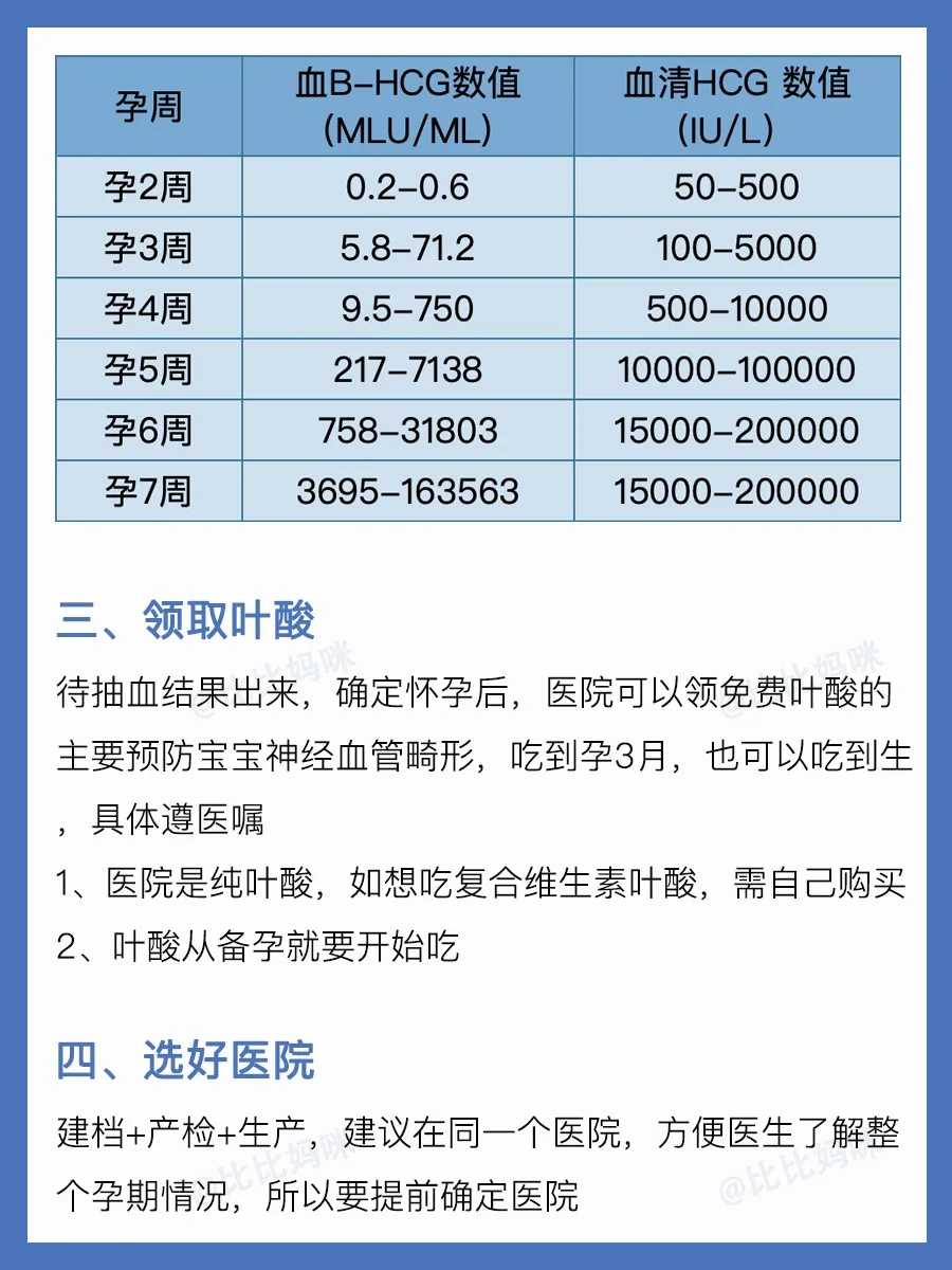 代放生鱼时念的佛咒
