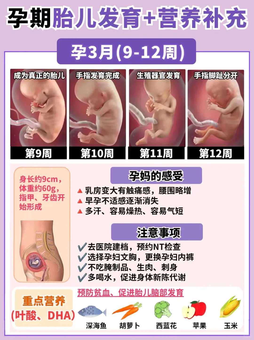 海边放生贵州代放生的顺序【怎么样去正确的放生】