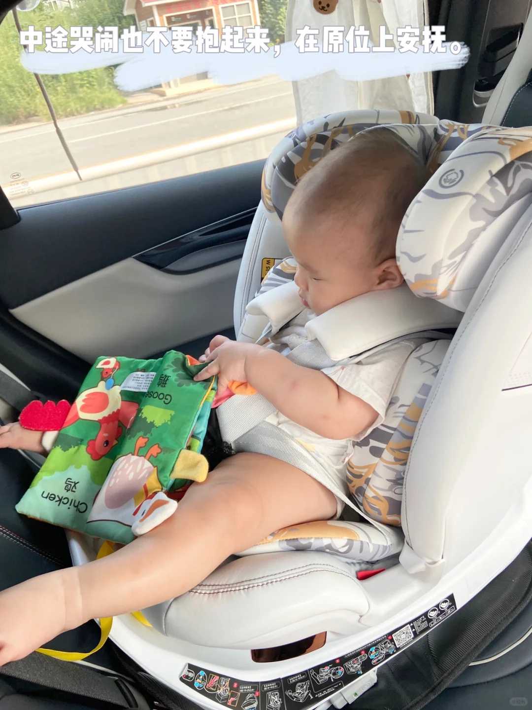 代放生鸽子最好的做法