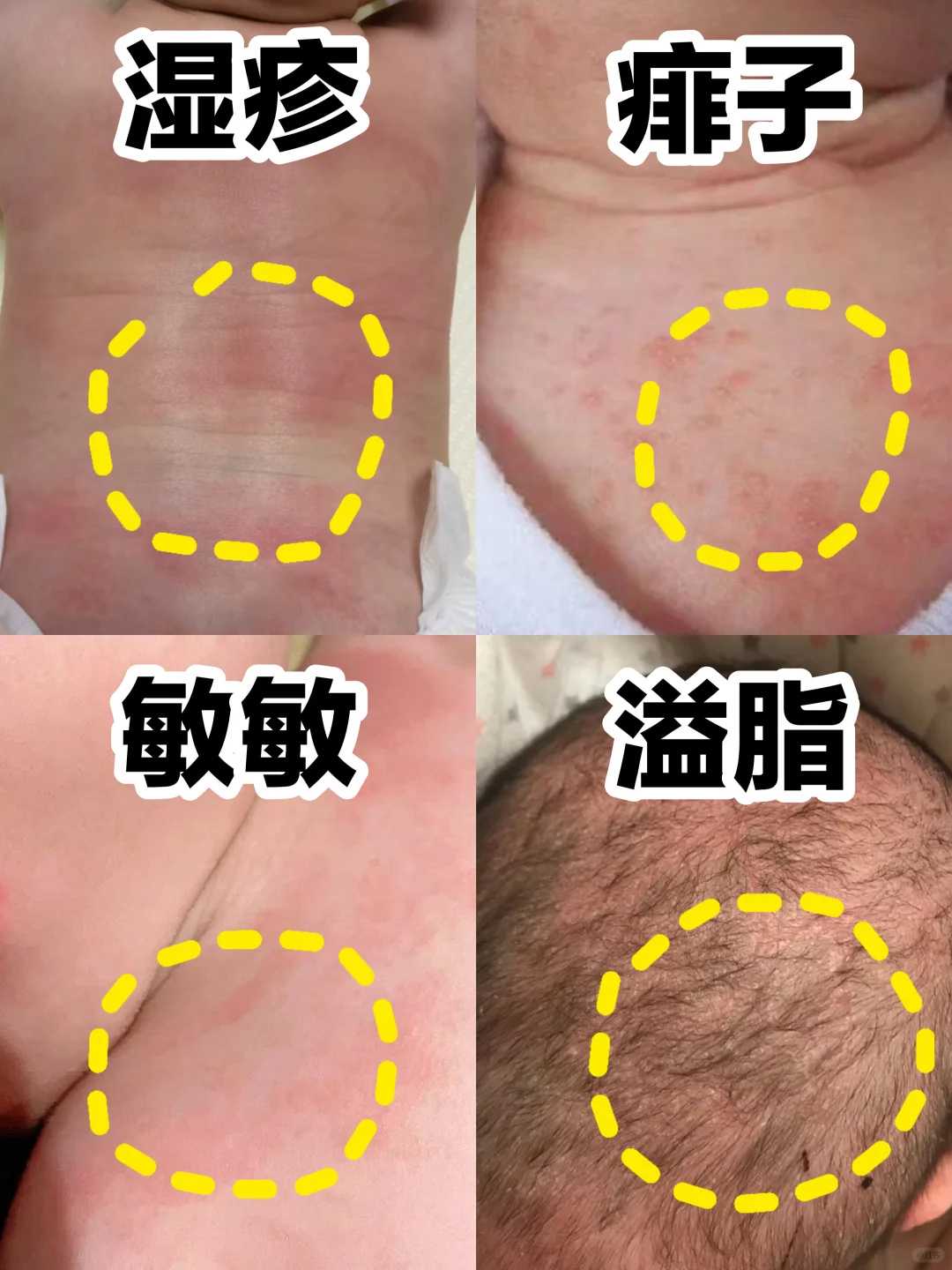 上海放生不如护生,【放生鱼类哪里好】上海哪里放生最好