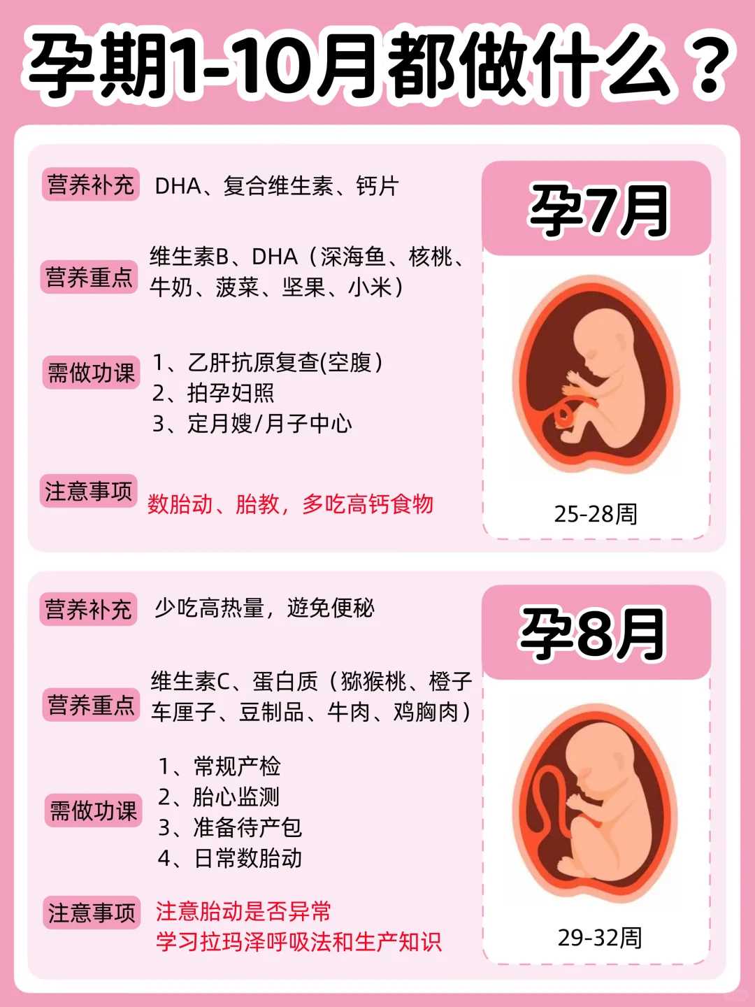 深圳放生忌讳，深圳做功德放生什么龟好，放生回向给孩子