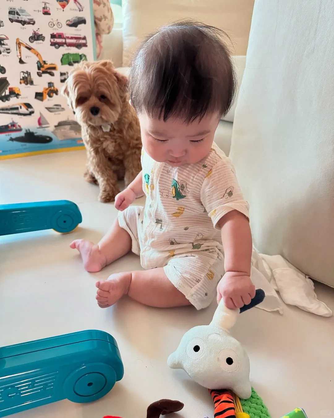 石家庄,捕捞放生的鱼有报应,乌龟放生时间什么时候好