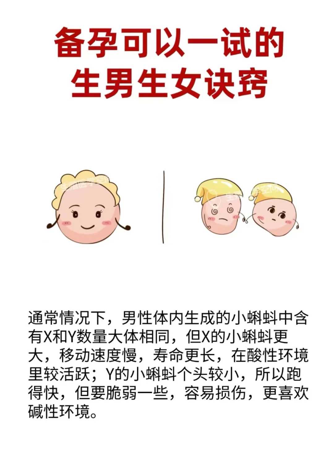 无锡放生法会功德（无锡家里养的乌龟放生好不好）