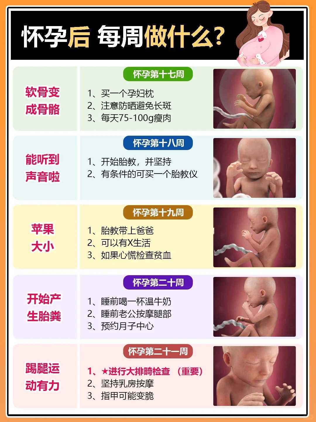 巴西龟一般到哪里代放生，济群法师：生从哪里来，死到哪里去？