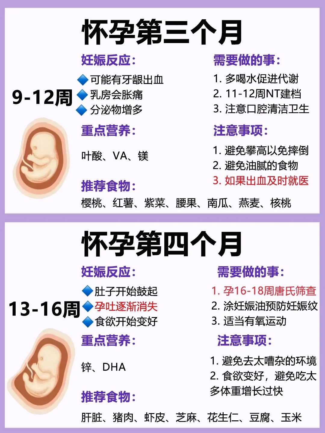 张家口放生的小鱼,张家口澳门哪里可以放生鱼类,张家口乌龟放生有什么好处