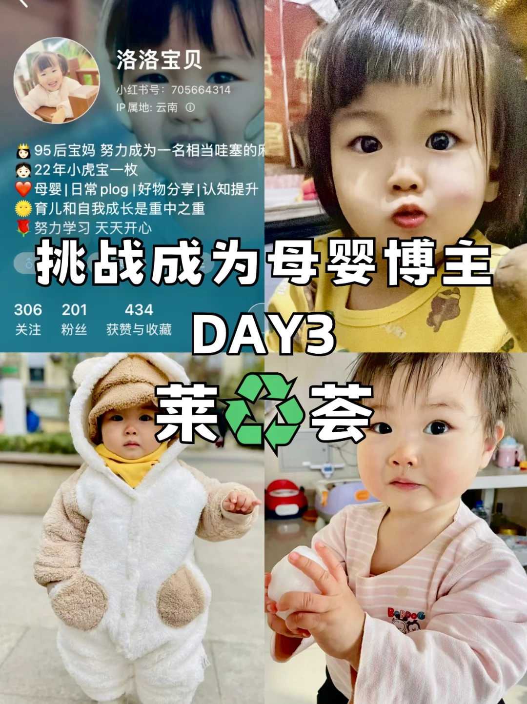 南京放生微信群号，悼念南京大屠杀遇难者！