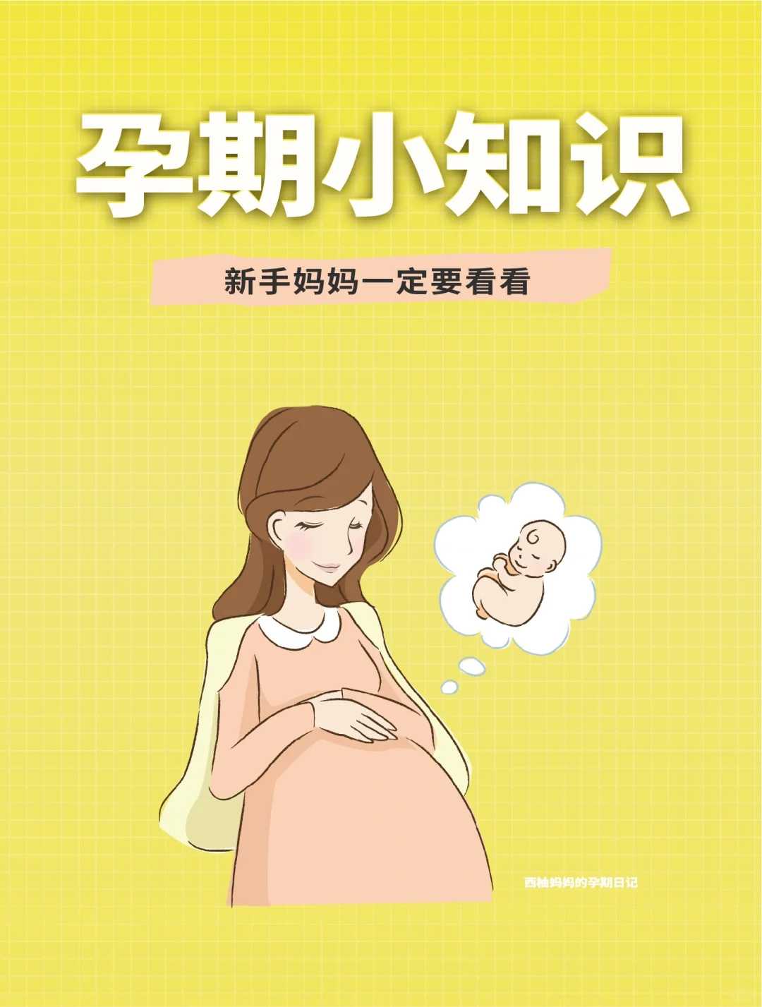 浙江放生协会,浙江每日放生群,家里有小蜗牛如何放生