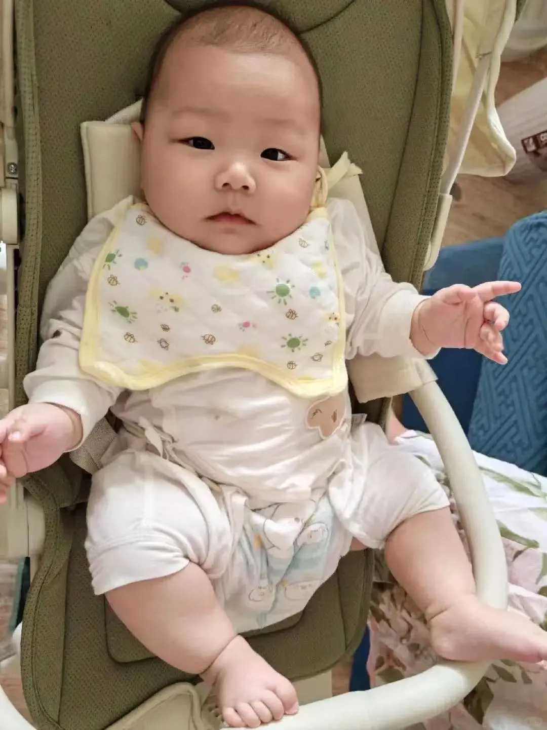 银川甲鱼如何放生,银川给乌龟放生注意什么,放生功德福报回向