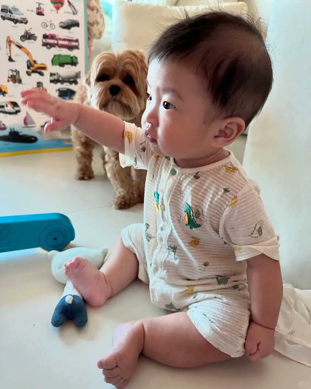 放生最佳时间东莞甲鱼代放生的好处【放生适合什么时间放】