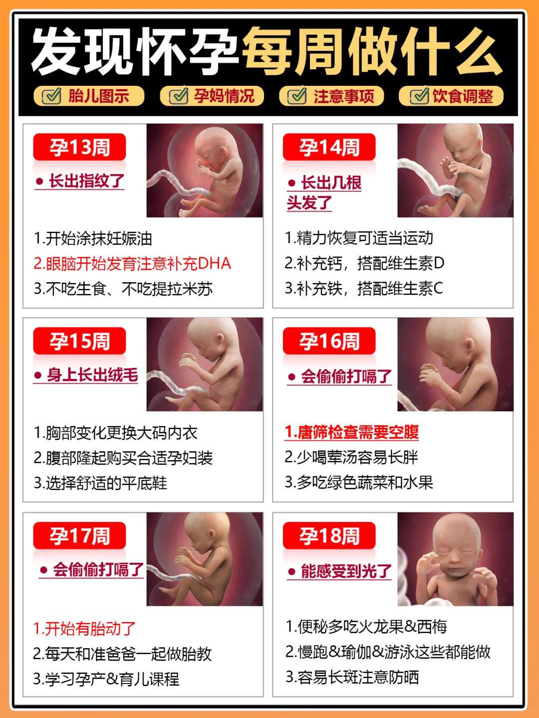 青岛求子放生哪种动物最好,青岛个人放生仪轨及回向,放生螃蟹对眼睛好