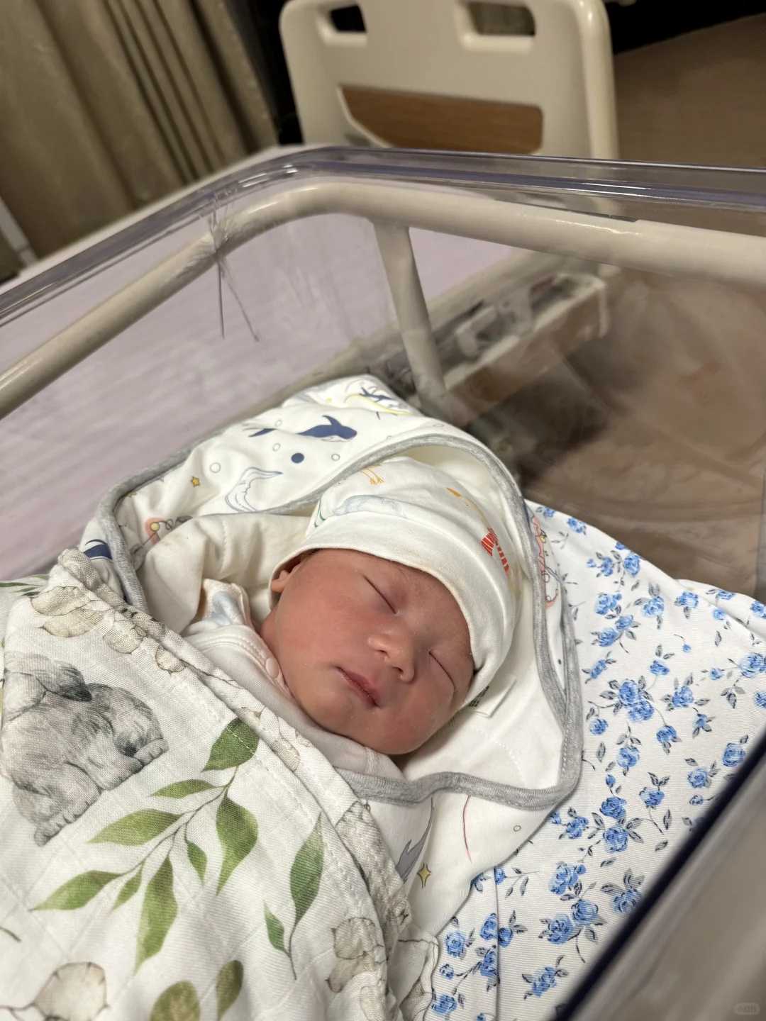 初一放生鱼苗的意义