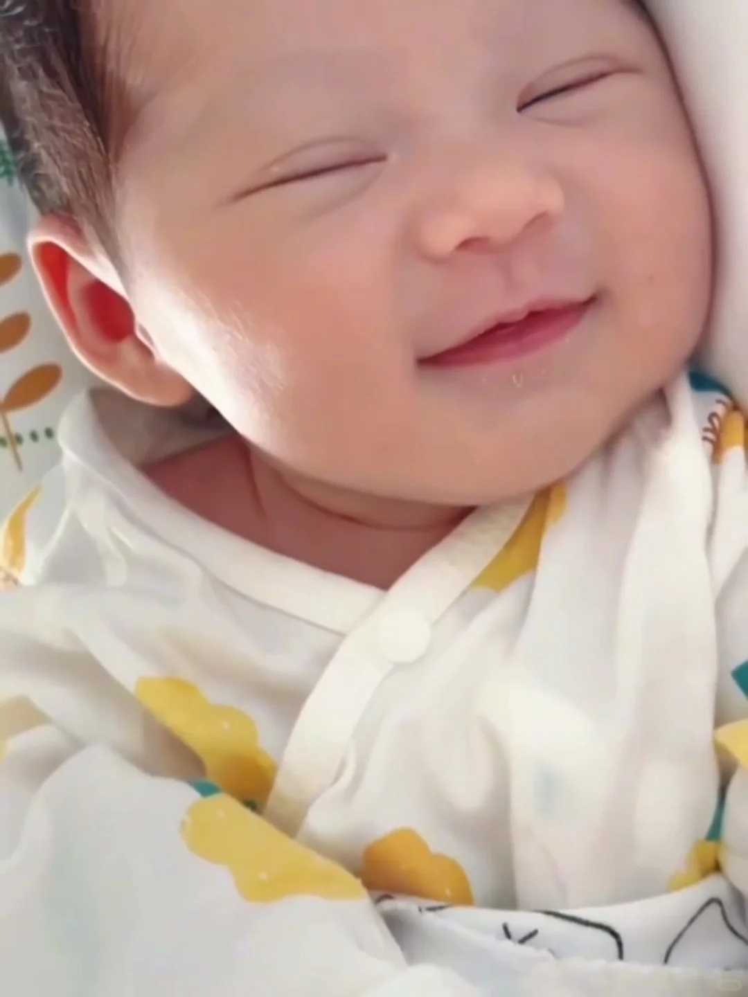 海口流产后放生放什么动物，海口哪个寺庙可以放生，海口适合兔子放生的地方