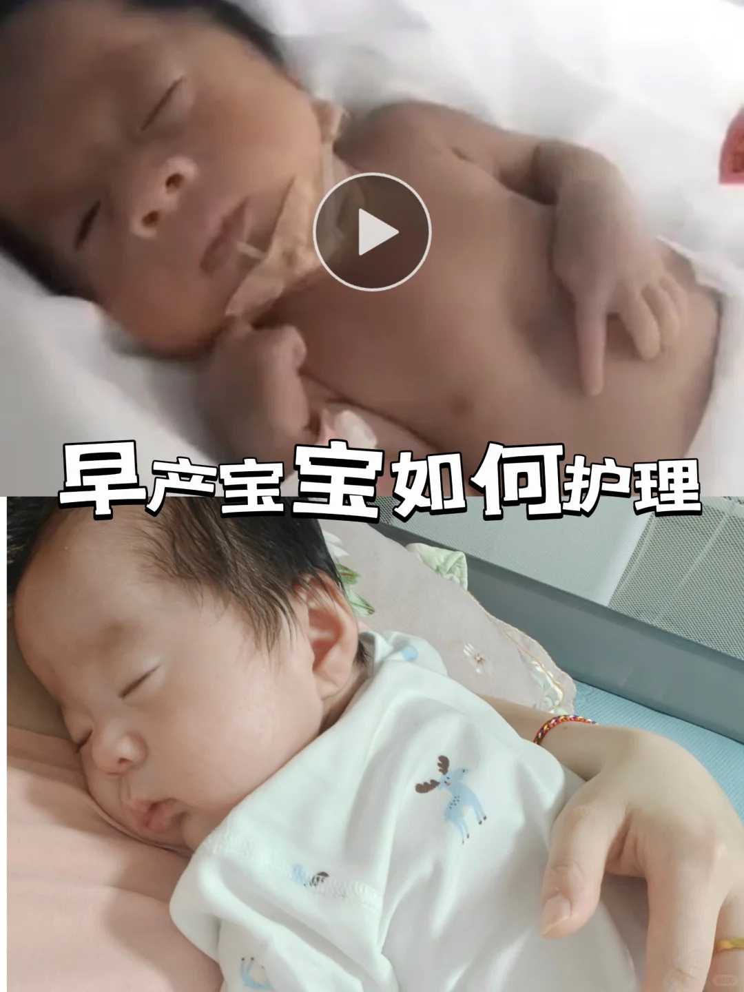 福建放生最佳地点在哪里，持续放生