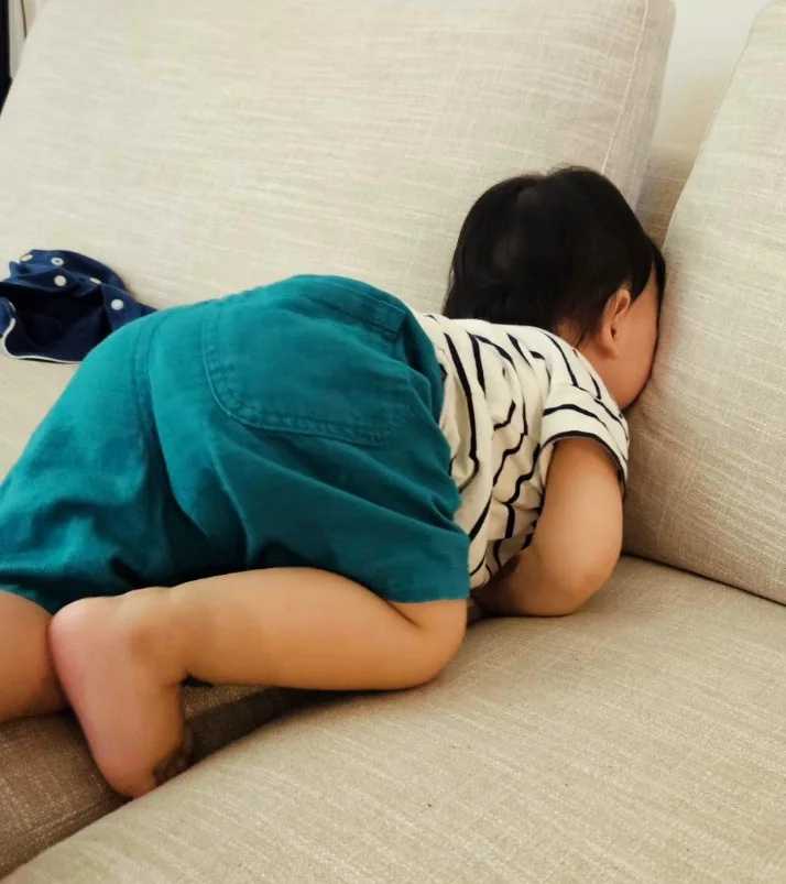 放生违法吗南昌吃了放生泥鳅的果报【锦鲤放生水库能活吗】