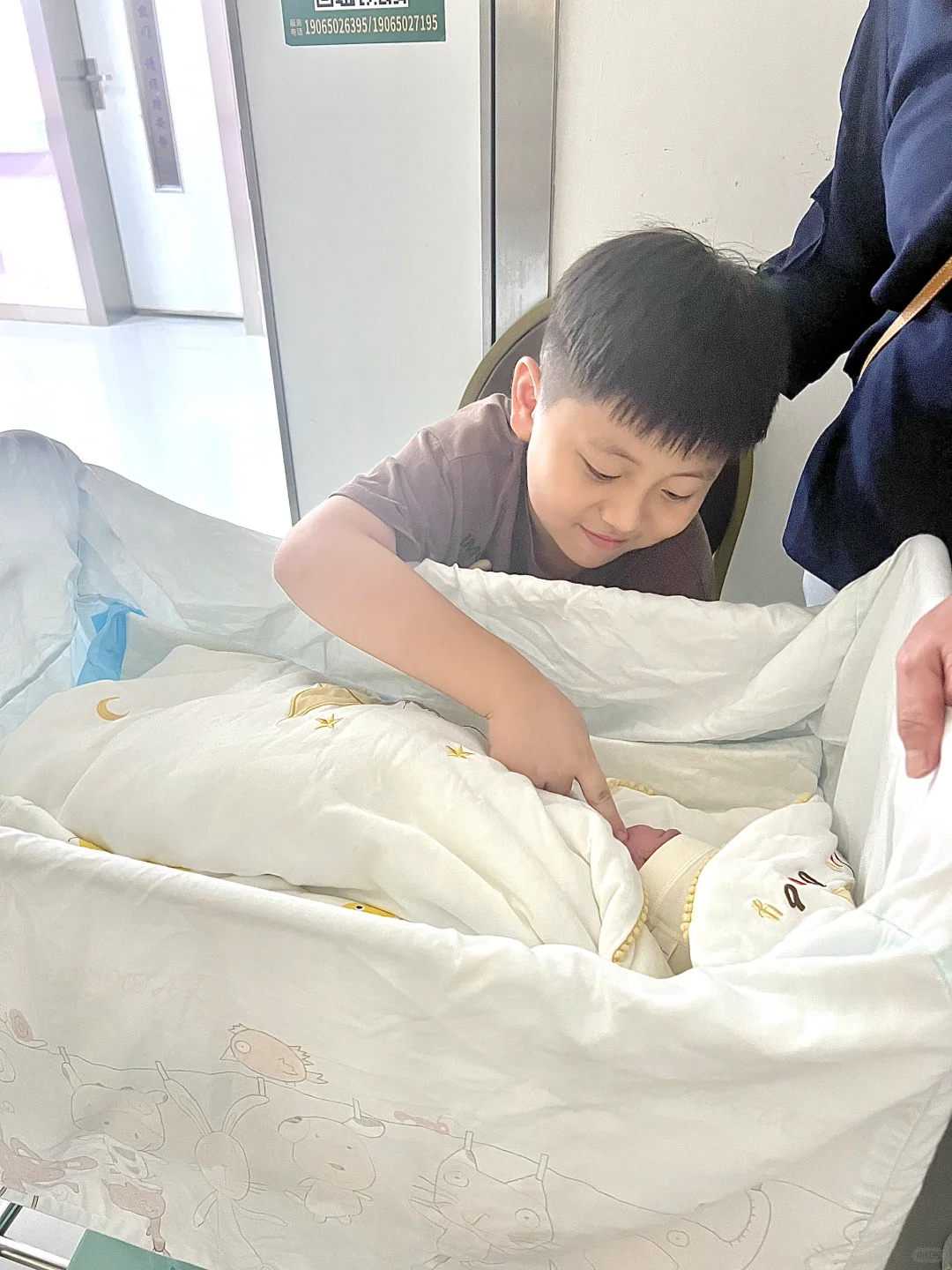 重庆放生的鱼去哪买，标准放生回向文