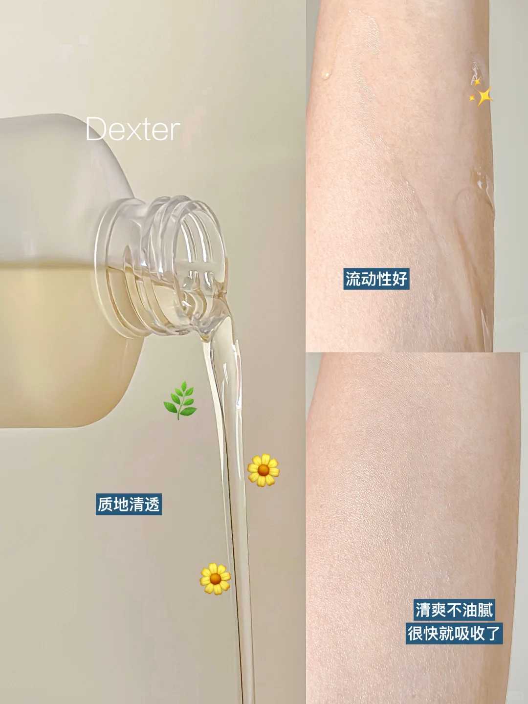 上海哪里可以买鸟放生，文鸟放生可以独立生存吗