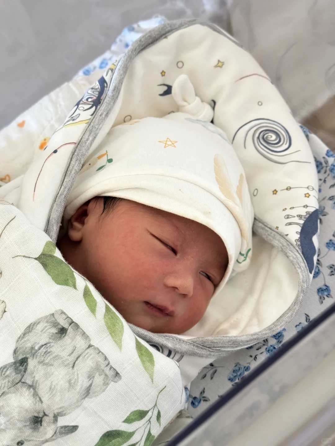 舟山放生蛇的果报,舟山过生日去放生鱼好吗,初一可以放生鱼吗